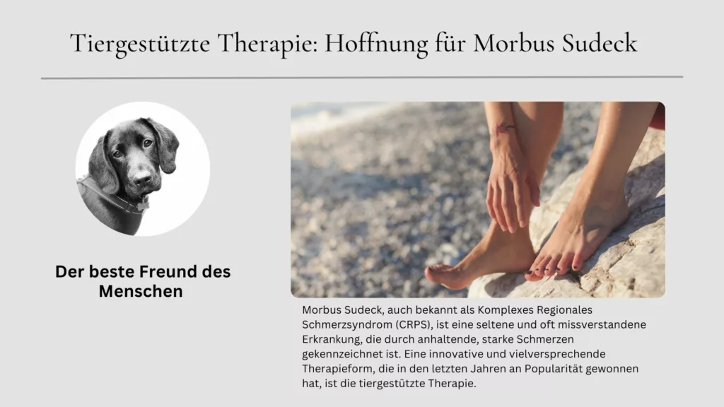 Ein Patient mit Morbus Sudeck erhält tiergestützte Therapie mit einem Hund, der an seinen Füßen liegt